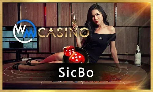 Bingoplus Casino Games